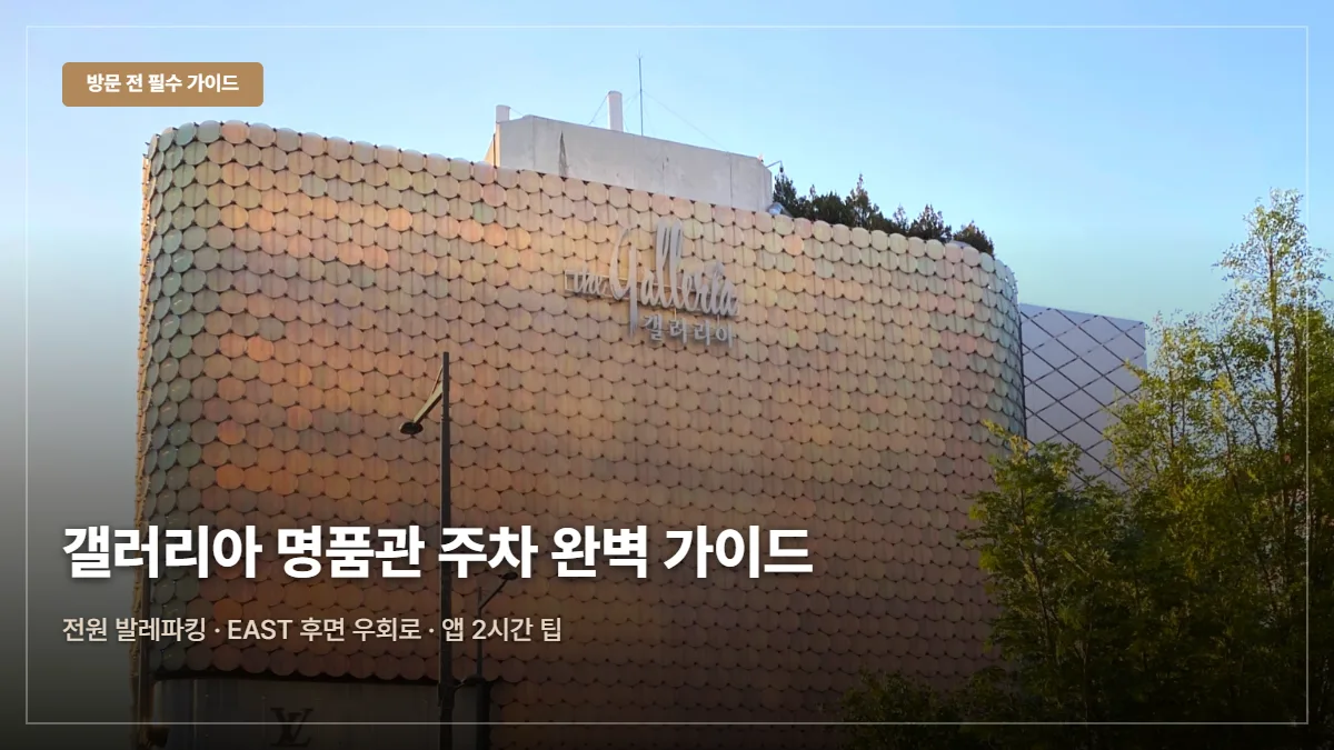 갤러리아백화점 명품관 주차요금·전원 발레파킹 대표 이미지